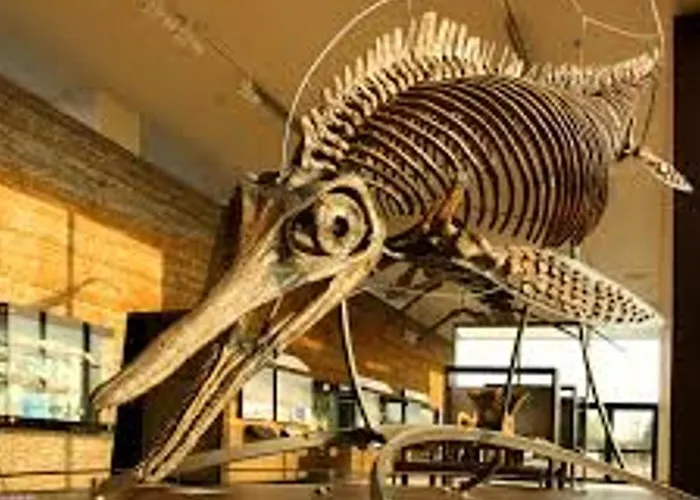 2 Pièces + Loggia Proche Avec Parking - Fr-1-712-93 Appartement